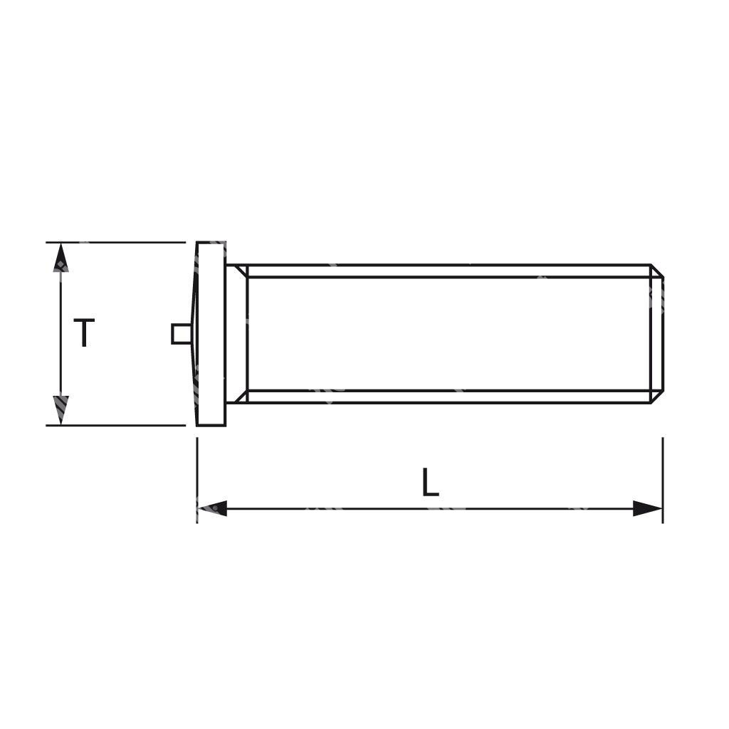 PFX-Prigioniero a saldare INOX M5x30