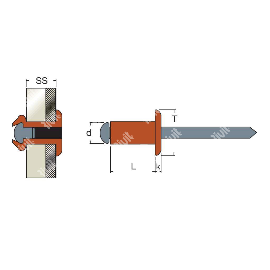 RFT-BOXRIV-Rivetto Rame/Acciaio TT (100pz) 2,9x9,0