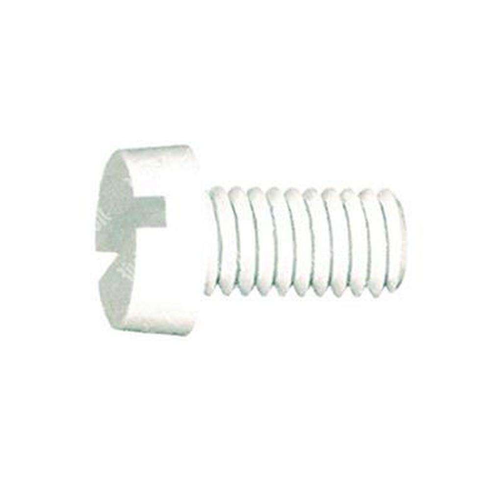 Slotted cheese head screw UNI 6107/DIN 84A Nylon 6.6 natural M6x25