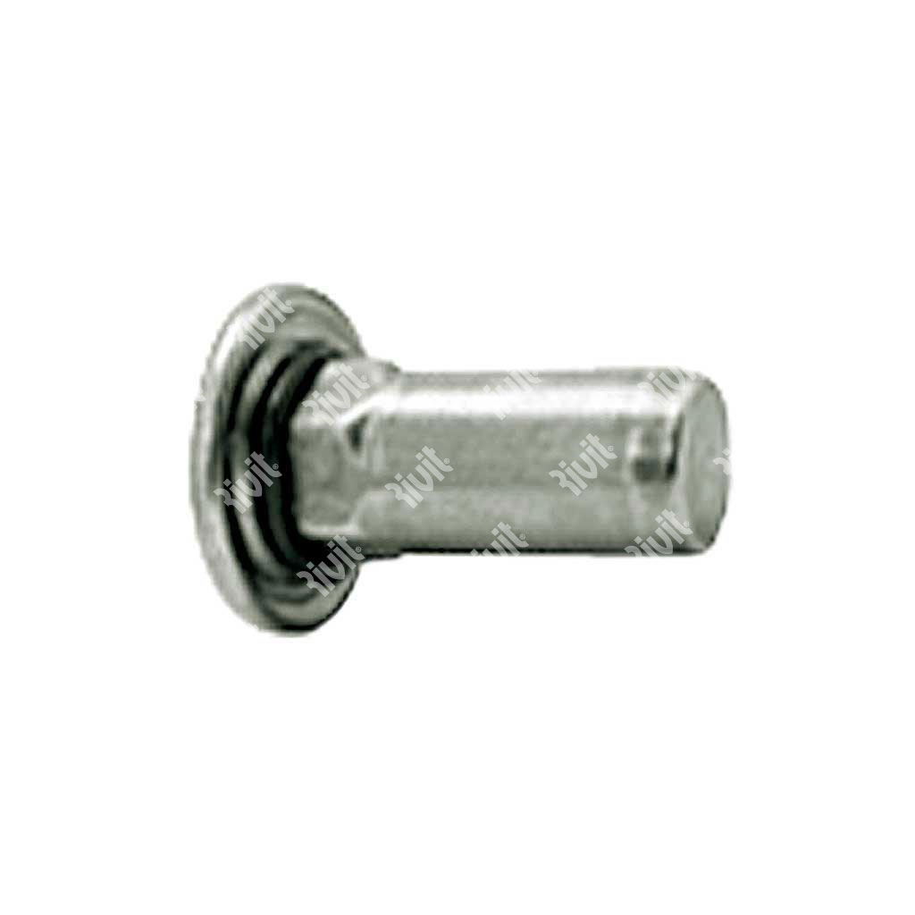 STREP-G-Close end Rivsert Stainless steel A4 semi-hex 8,9 h.9,0 gr0,5-3,0 DH w/washer M6/030