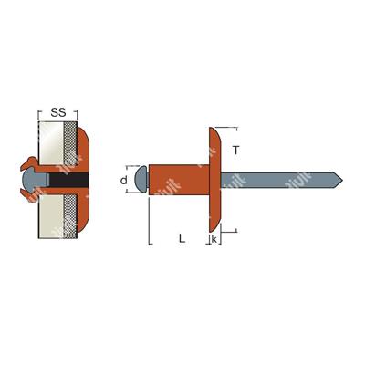 RFL12-BLISTRIV-Cuivre/Acier rivet TL (100pcs) 3,9x9,0 TL12