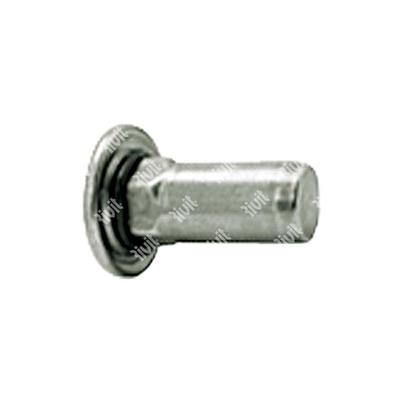 STREP-G-Close end Rivsert Stainless steel A4 semi-hex 10,9 h.11,0 gr0,5-3,0 DH w/washer M8/030