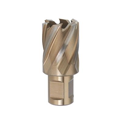 FERVI-Core drill w/weldon shank d.55
