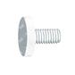 Slotted knurled head screw 6.6 Natural M6x30