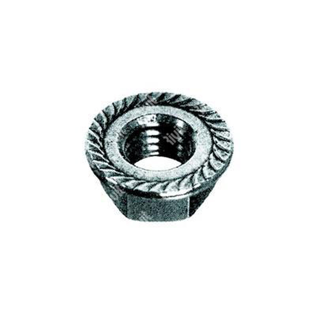 Hex serrated flange nut DIN 6923 white zinc plated steel cl.8 M6