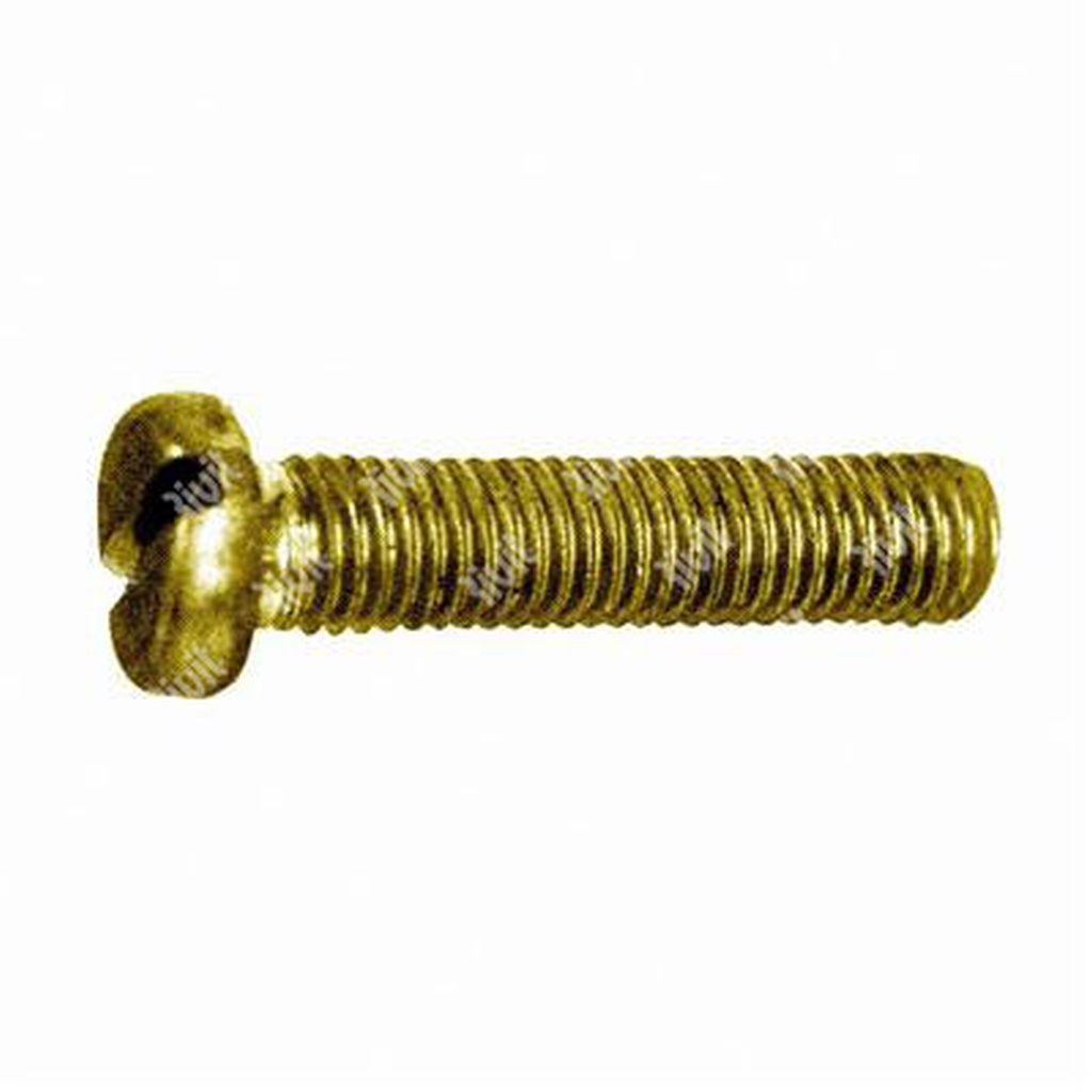 Slotted cheese head screw UNI 6107/DIN 84A brass M4x6