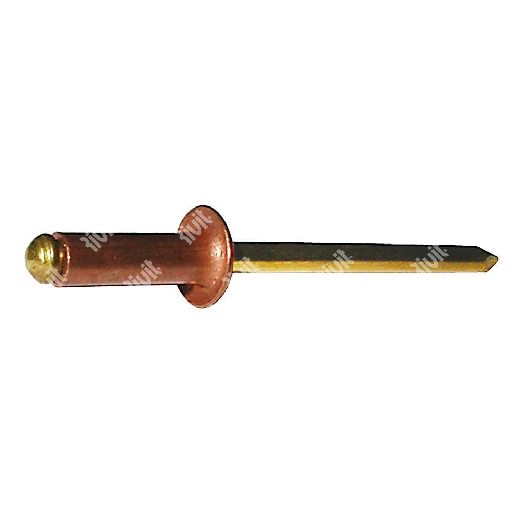 ROT-BLISTRIV-Blind rivet Copper/Brass DH (100pcs) 3,2x7,0