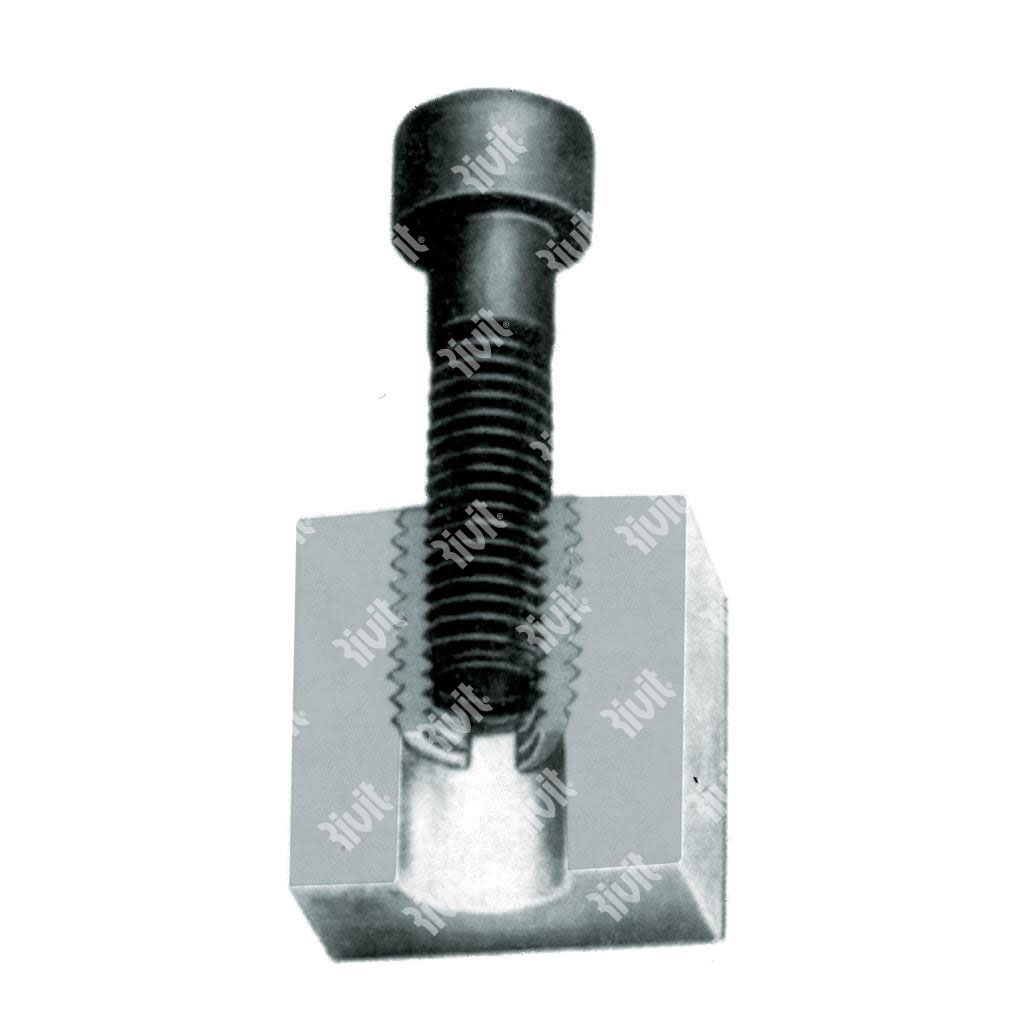 RSCT-Self tapping socket Zink Steel (for die cast) de.12x1,5 w/slots on the mandrel M8x1,25 - h.15