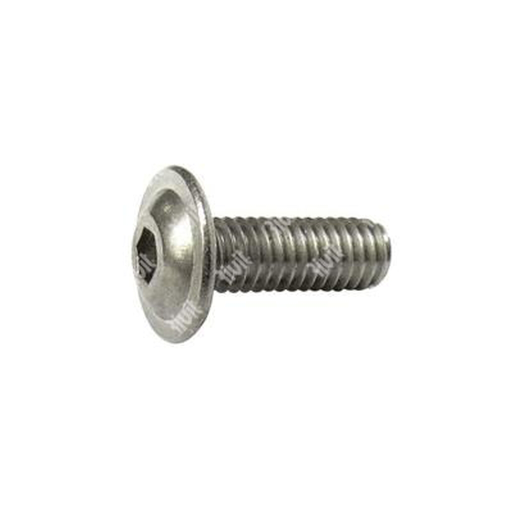 Vite BUTTON FLANGIATA ISO 7380-2 INOX A4 M6x35