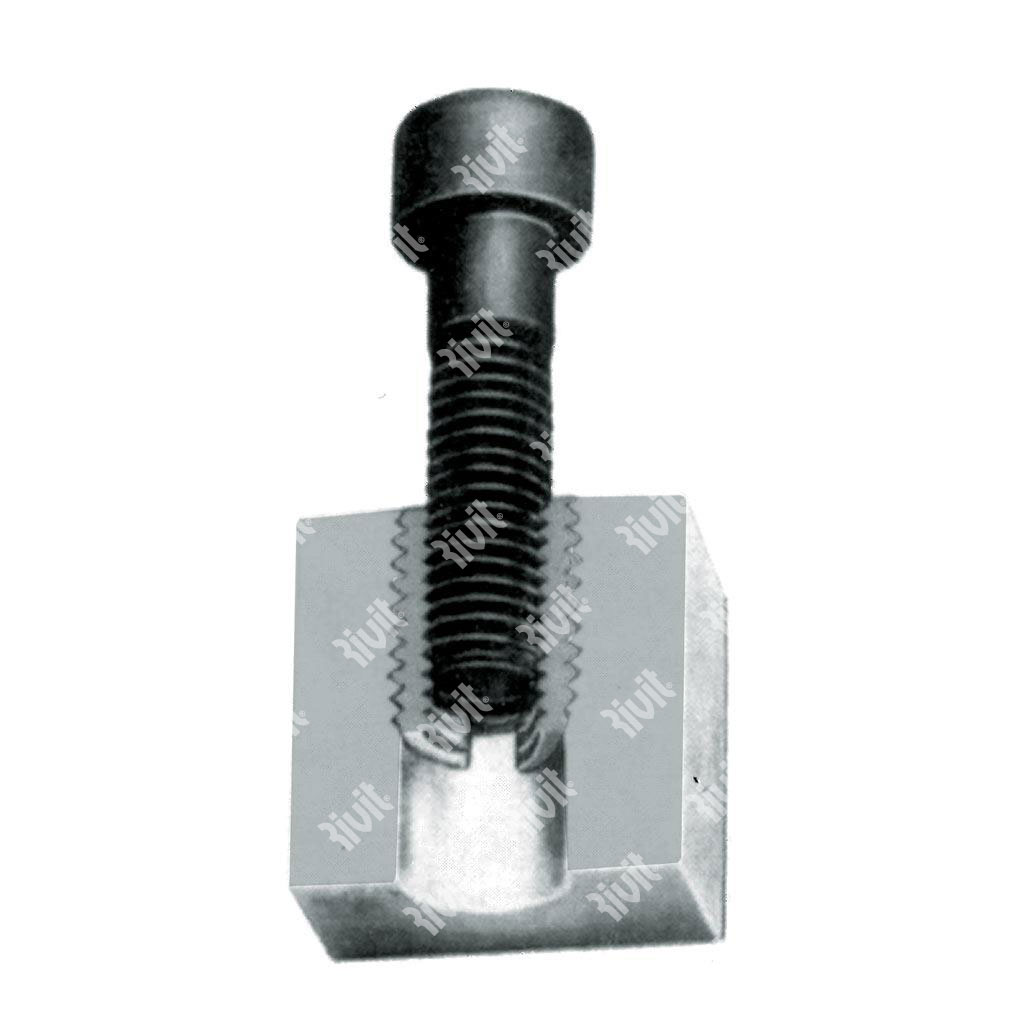 RSCF-F-Self tapping socketGalv. Steel w/hole f.9 M5x0,8x7 - 0318C