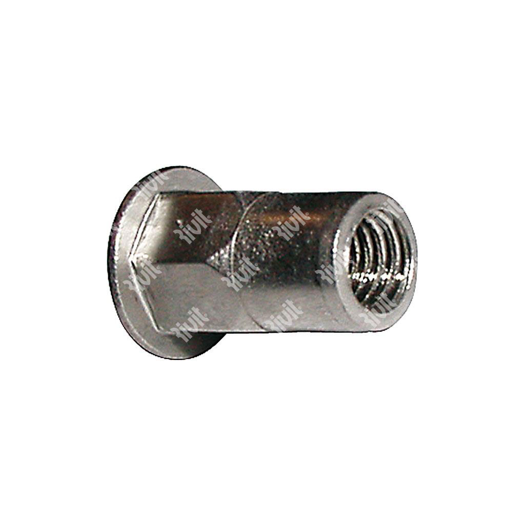 ITEPA2-Rivsert Stainless steel A2 semihex.12,9mm h gr1,0-3,5 DH M10/035