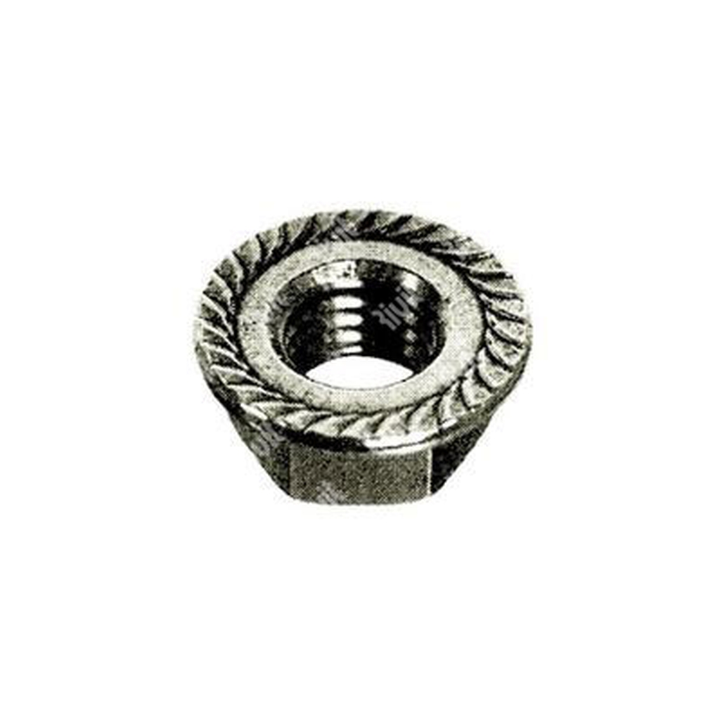 Hex serrated flange nut DIN 6923 Stainless steel 304 M12