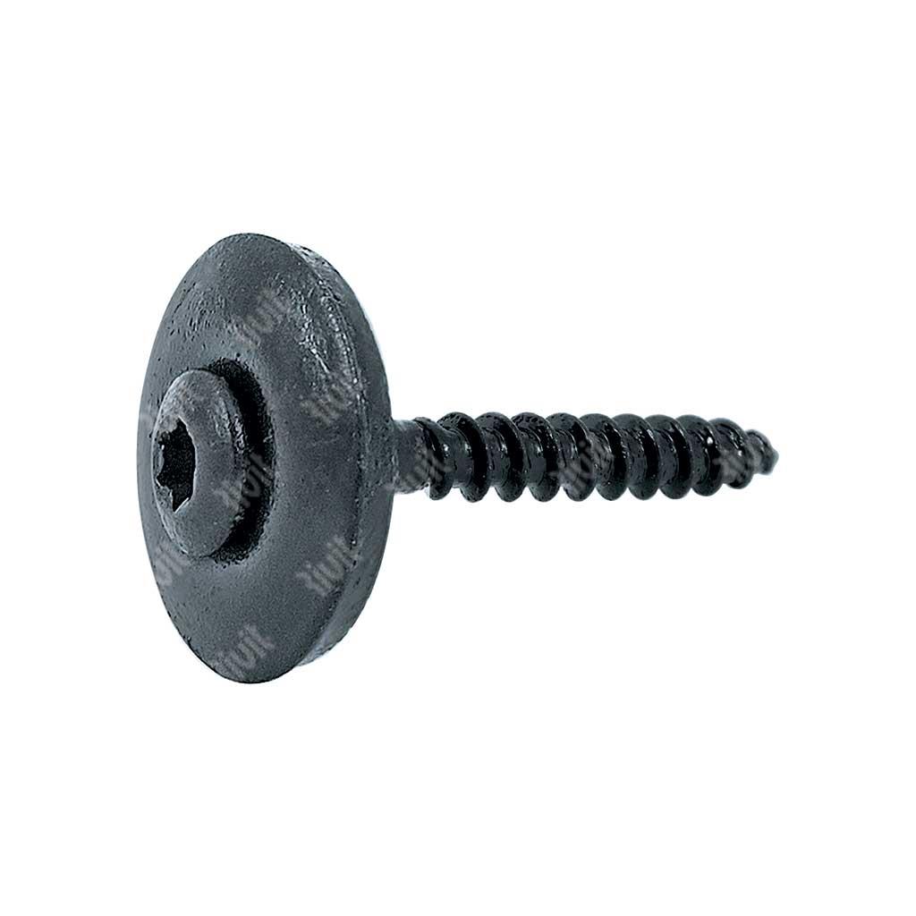 VTX20-Stainless steel screw w/washer d.20+EPDM TX2 painted RAL7016 4,5x35xR20
