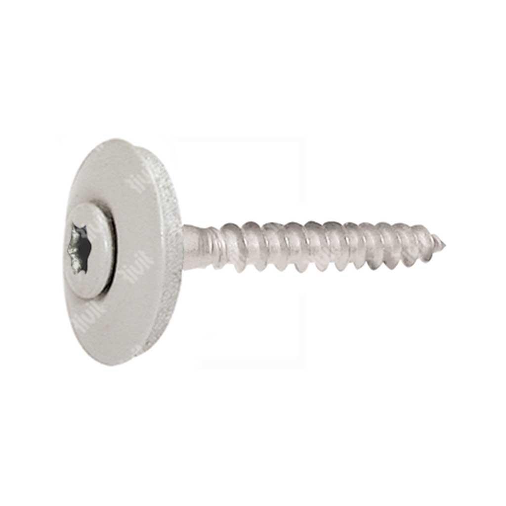VTX20-Stainless steel screw w/washer d.20+EPDM TX2 painted RAL9002 4,5x45xR20