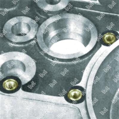 RSCT-0-Brass rivet nut for plastic h.8,3-8,5 - de.9,0 - h.12,0 M6x1x12