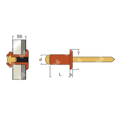 ROT-BLISTRIV-Cuivre/Laiton rivet TP (100pcs) 3,9x12,0