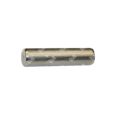 Parallel Pin ISO 2338 unhardened Tolerance h8 UNI 1707/DIN7 Stainless Steel 2x20