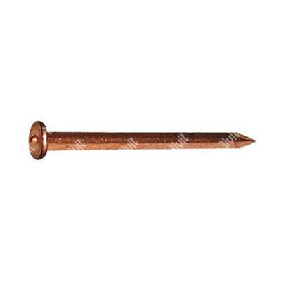 IPL-Steel copper plated insulation nail 2x30