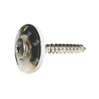 VTX20-Stainless steel T20 screw w/washer d20+EPDM (in 1 pc) 4,5x45xR20