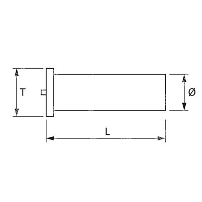 PLR-Fer cuivre Pin lisse pour soudure d.4x35
