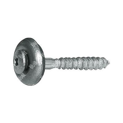 VSXXT-Stainless steel HX20 screw w/washer and seal d15 4,5x25xR15
