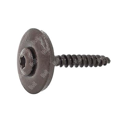 VTX20-Stainless steel T20 screw w/washer d20 and vulcanized seal HX20 RAL8017 EPDM 4,5x35xR20