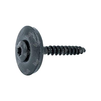 VTX20-Stainless steel screw w/washer d.20+EPDM TX2 painted RAL7016 4,5x45xR20