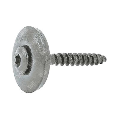 VTX20-Stainless steel screw w/washer d.20+EPDM TX2 painted RAL7037 4,5x35xR20
