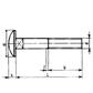 Round head square neck bolts without hex nut UNI 5731/DIN 603 stainless steel 304 M10x25