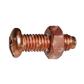 TCR-CH+COPPER Screw/-w/Inox Copper pltd Nut M6x20