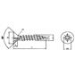 Flat head chipboard screw DIN 7505A white zinc plated steel C15 5x60