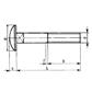 Flachrundschraube Vierkantansatz UNI 5731/DIN 603 ohne Mutter   4.8 - Stahl weiß verzinkt M10x80